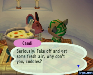 Illustration for article titled Animal Crossing Superfan Has Maintained His GameCube Town For 17 Years